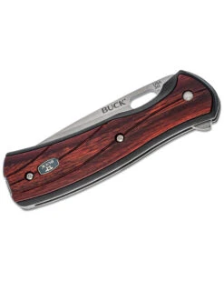 Buck Knives 346 Vantage Avid Knife