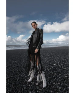 Idyllwind Women's Dazzler Fringe Faux Suede Dress -Country Clothing Store 2000352378 001 P1